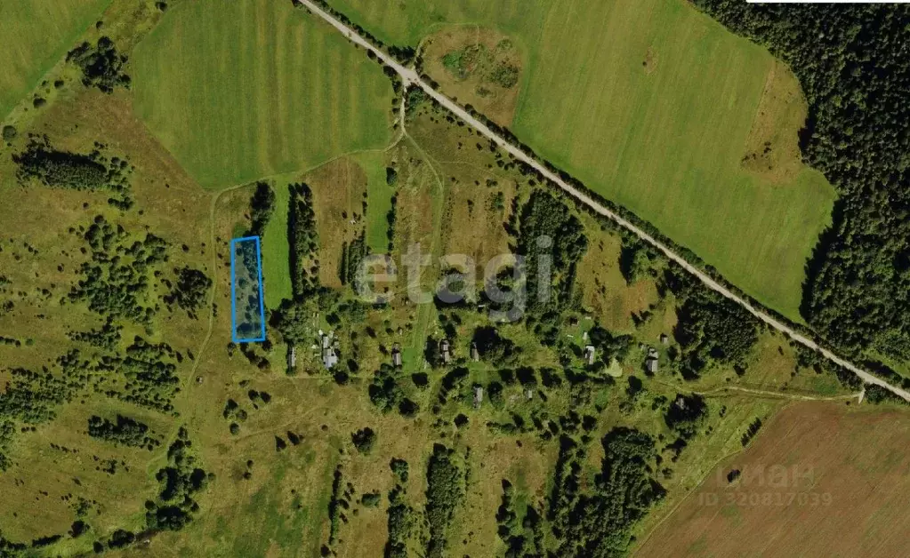 Участок в Ярославская область, Борисоглебский муниципальный округ, ... - Фото 1