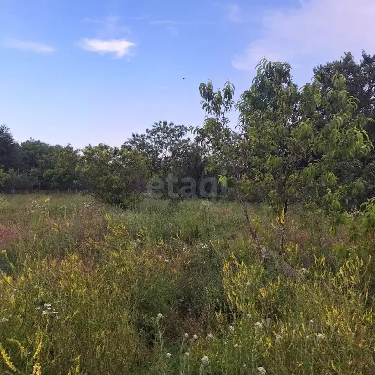 Участок в Краснодарский край, Новороссийск городской округ, Раевская ... - Фото 0