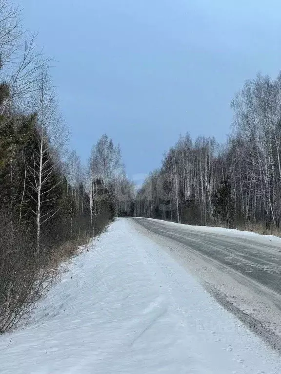 Участок в Тюменская область, Нижнетавдинский муниципальный округ, д. ... - Фото 1