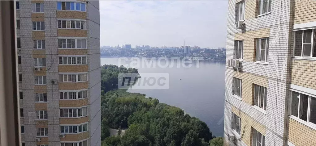 1-к кв. Воронежская область, Воронеж ул. Переверткина, 1/9 (41.6 м) - Фото 1