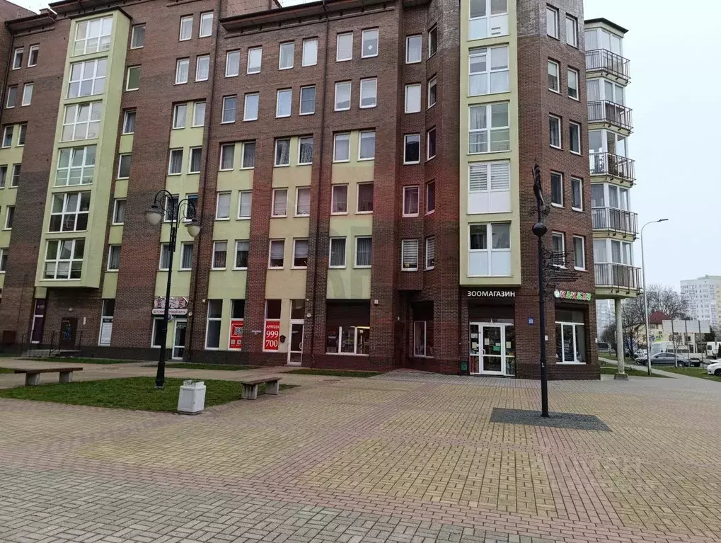 Помещение свободного назначения в Калининградская область, Калининград ... - Фото 0