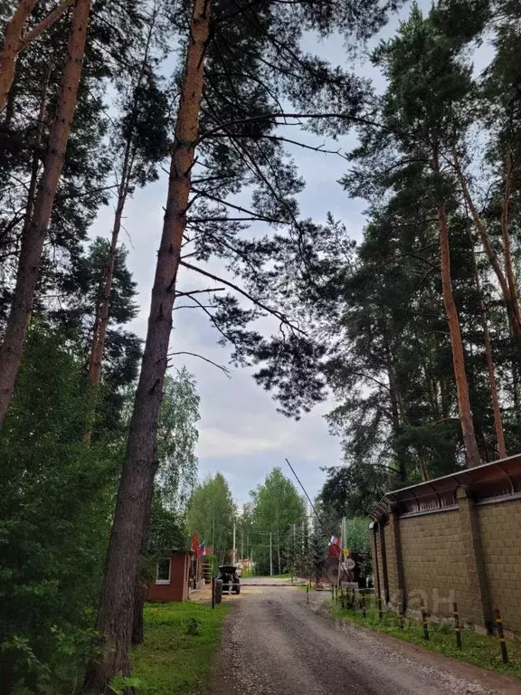Участок в Московская область, Богородский городской округ, д. ... - Фото 1
