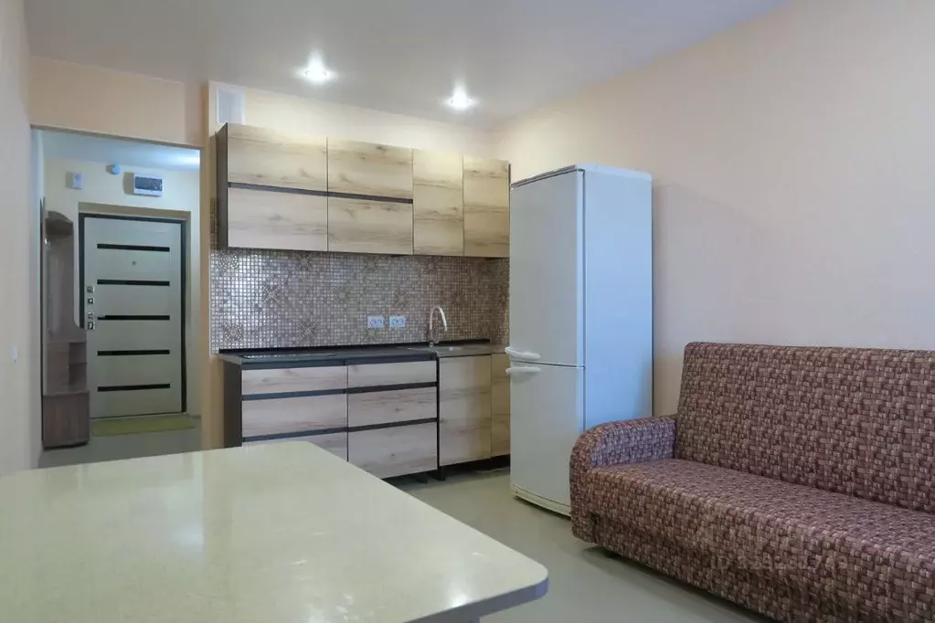 Студия Новосибирская область, Новосибирск ул. Забалуева, 102 (20.0 м) - Фото 1