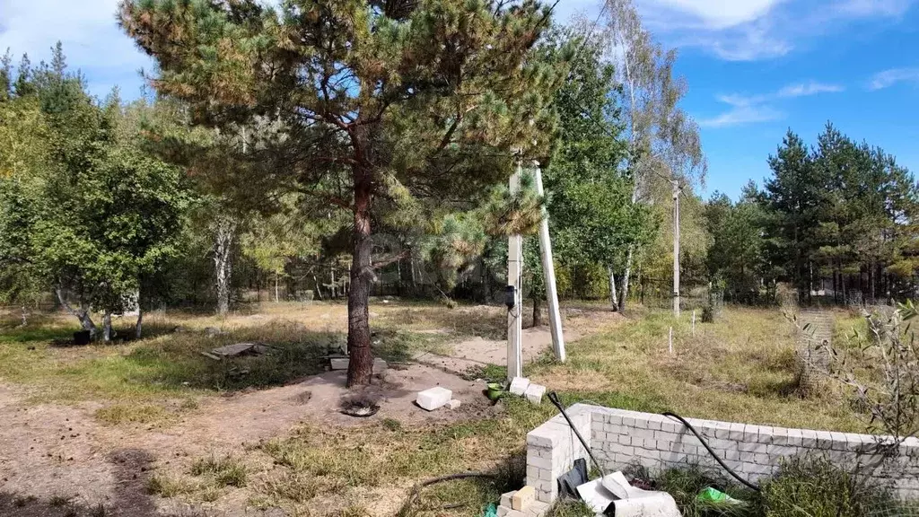 Участок в Воронежская область, Воронеж Сувенир-2 СТ, 55 (9.0 сот.) - Фото 1