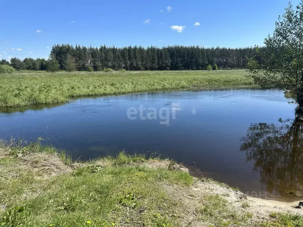 Участок в Воронежская область, Новоусманский район, с. Хреновое  (11.0 ... - Фото 1