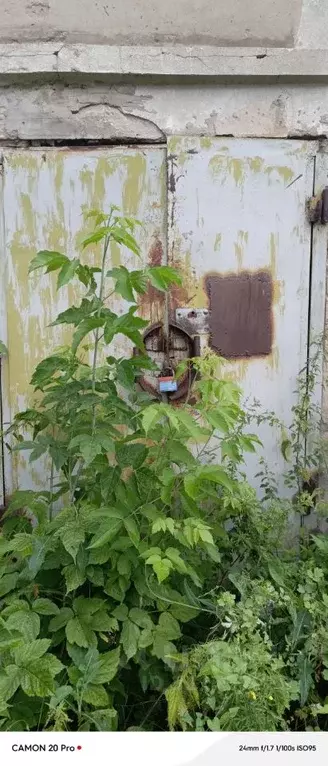 Помещение свободного назначения в Нижегородская область, Заволжье г. ... - Фото 0