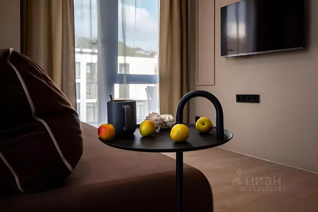 1-к кв. Краснодарский край, Сочи ул. Яна Фабрициуса, 64 (45.0 м) - Фото 2