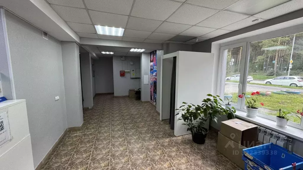 Торговая площадь в Свердловская область, Екатеринбург ул. Якутская, 10 ... - Фото 2