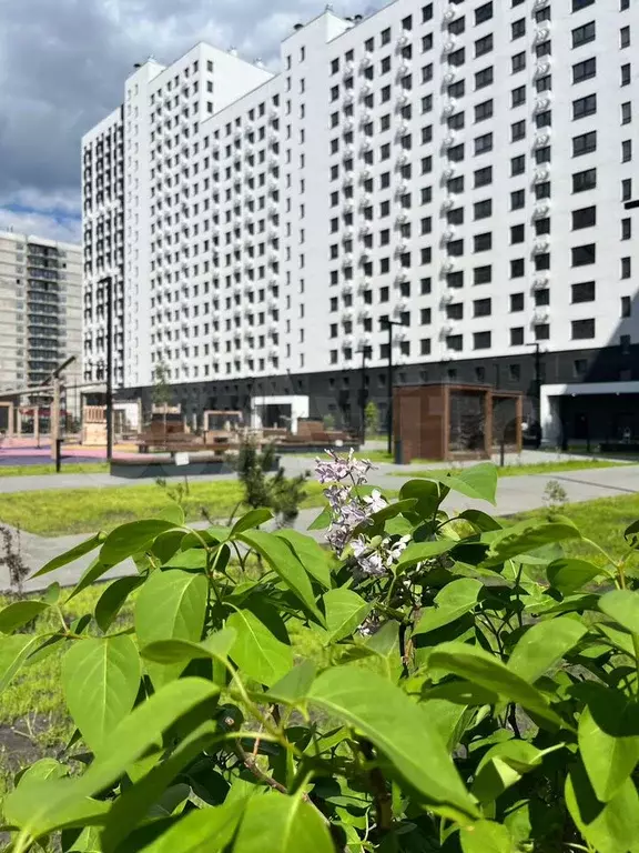 Квартира-студия, 38,3 м, 7/17 эт. - Фото 1