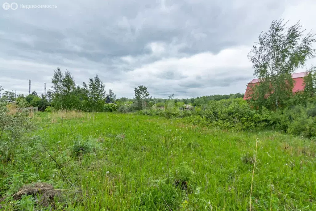 Участок в Омск, территория СОСН Керамик-3, аллея 6 (8 м) - Фото 1