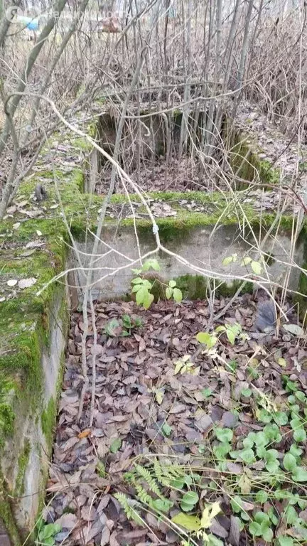 Участок в Ленинградская область, Кировское городское поселение, ... - Фото 2