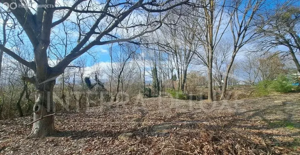 Участок в Балаклавский район, Орлиновский муниципальный округ, село ... - Фото 0