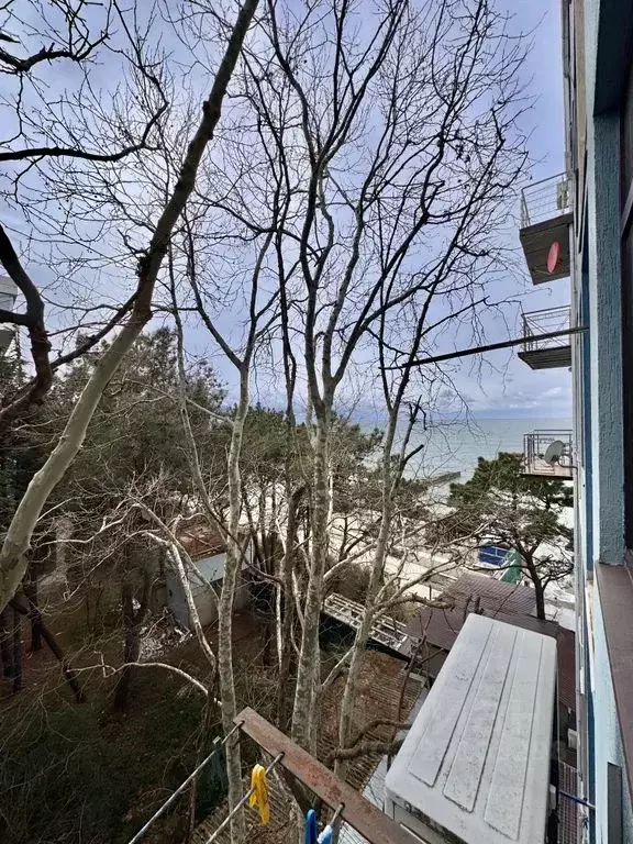 1-к кв. Краснодарский край, Сочи ул. Просвещения, 118/1 (28.0 м) - Фото 2