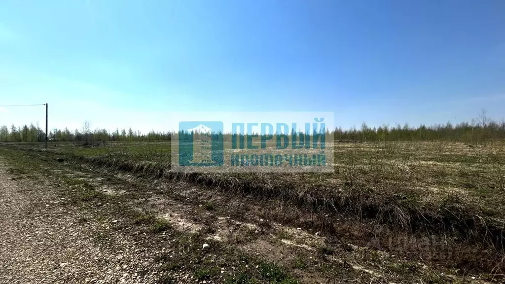 Участок в Марий Эл, Йошкар-Ола городской округ, д. Шоя-Кузнецово ул. ... - Фото 2
