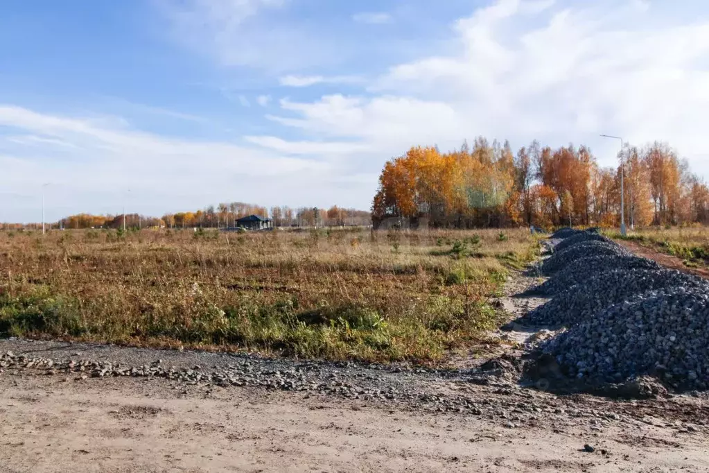 Участок в Тюменская область, Тюменский район, Новокаменский кп ул. ... - Фото 0