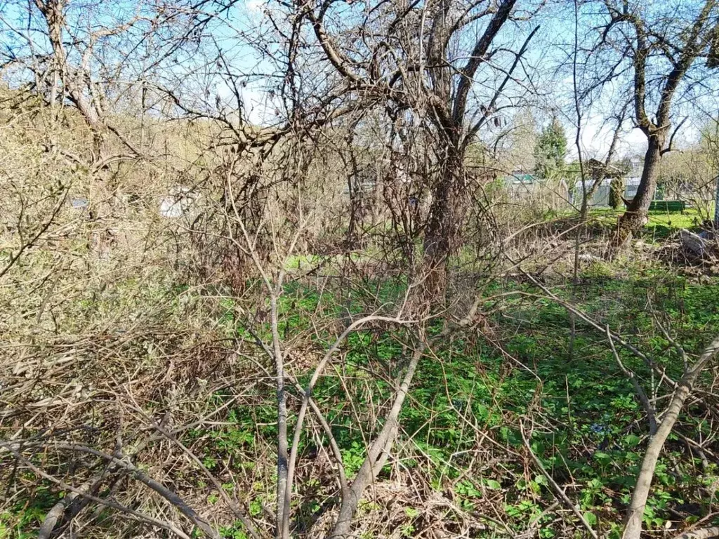 Участок 6,1 сот. (СНТ, ДНП) - Фото 1