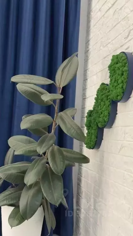 1-к кв. Калининградская область, Калининград Новгородская ул., 5к1 ... - Фото 2