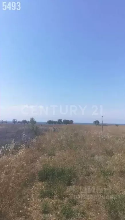 Участок в Севастополь Лукулл садоводческое товарищество, 241 (5.0 ... - Фото 2