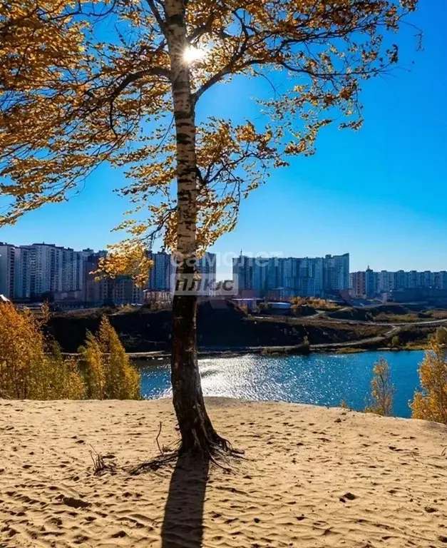 1-к кв. Московская область, Котельники Новые Котельники мкр, 10 (40.8 ... - Фото 1