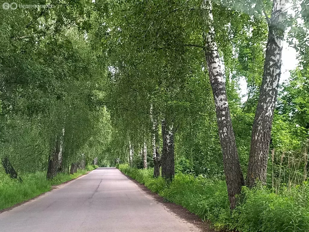 Участок в Орловский муниципальный округ, СНТ Нива (5.2 м) - Фото 1