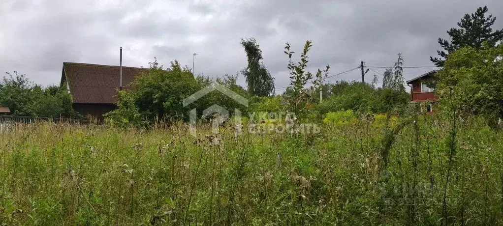 Участок в Ленинградская область, Тосненский район, Красноборское ... - Фото 1