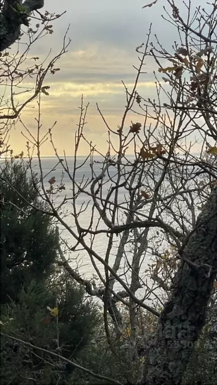 Участок в Севастополь Севастопольская зона ЮБК кв-л, 53/71 (4.0 сот.) - Фото 1