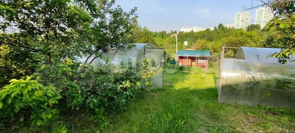 Участок 4,6 сот. (СНТ, ДНП) - Фото 1