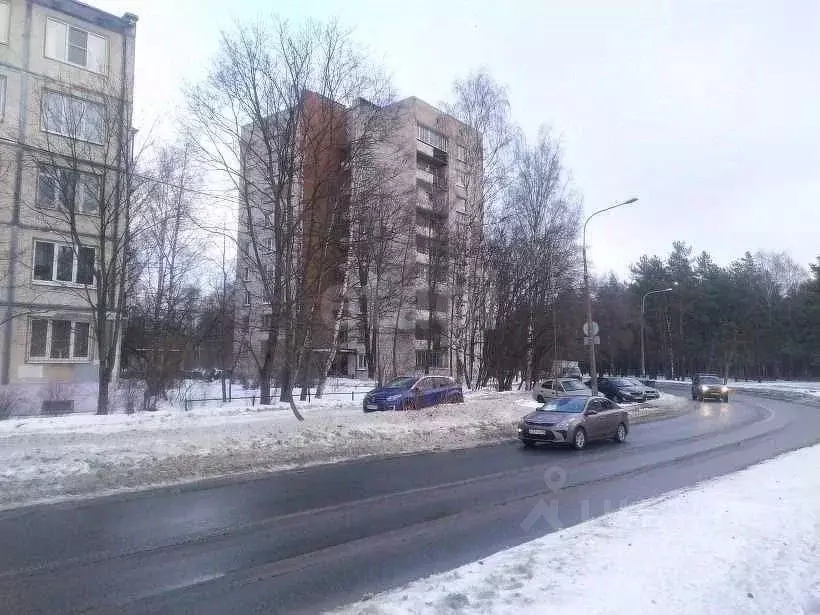 3-к кв. Санкт-Петербург ул. Верности, 30 (56.9 м) - Фото 1