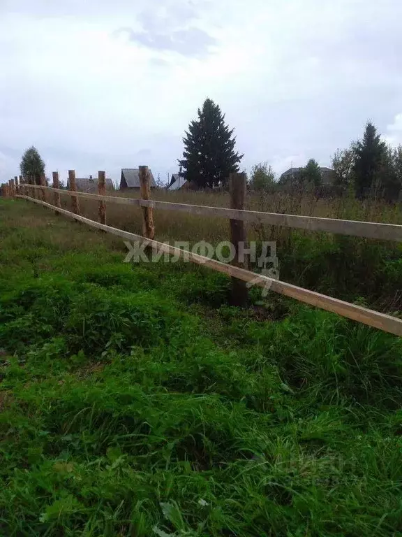 Участок в Томская область, Томский район, с. Курлек Зеленая ул. (7.0 ... - Фото 1