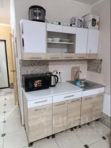 Студия Краснодарский край, Анапа Владимирская ул., 154к1 (24.0 м) - Фото 2