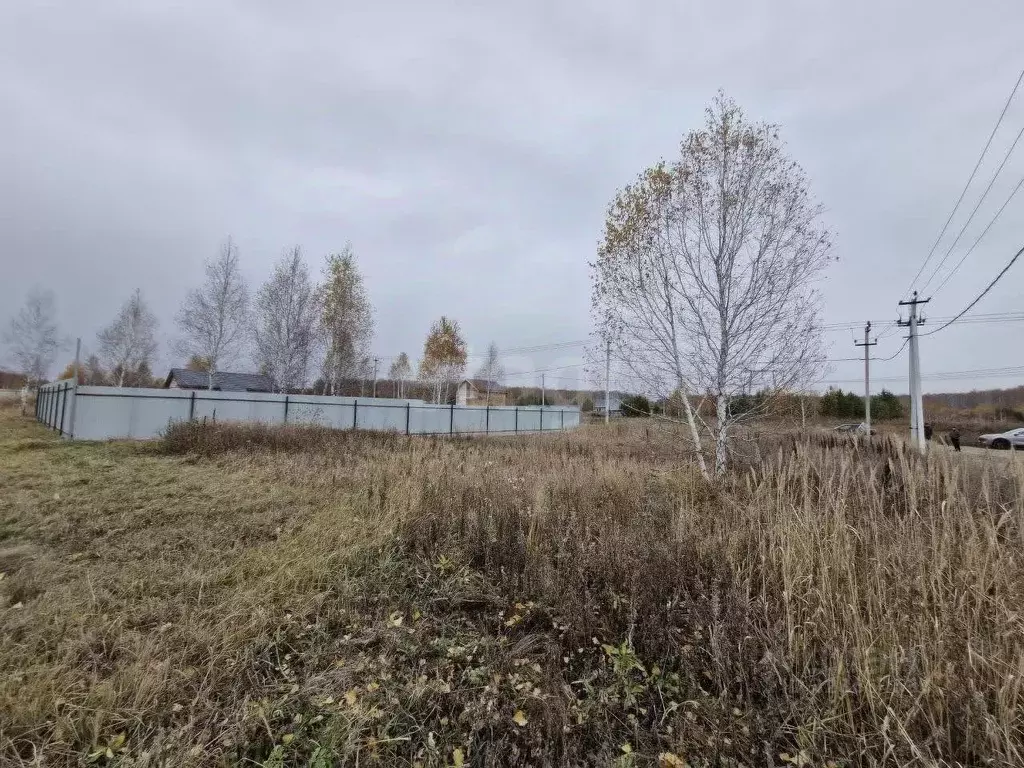 Участок в Челябинская область, Сосновский муниципальный округ, с. ... - Фото 2