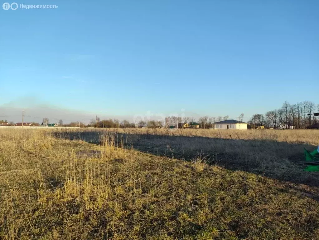 Участок в округ Муром, село Чаадаево (12 м) - Фото 1