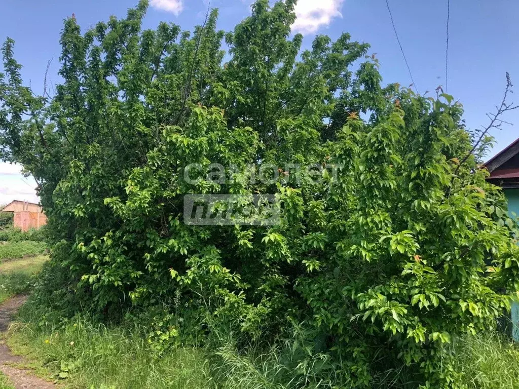 Дом в Свердловская область, Алапаевск Клубная ул., 24 (11 м) - Фото 2