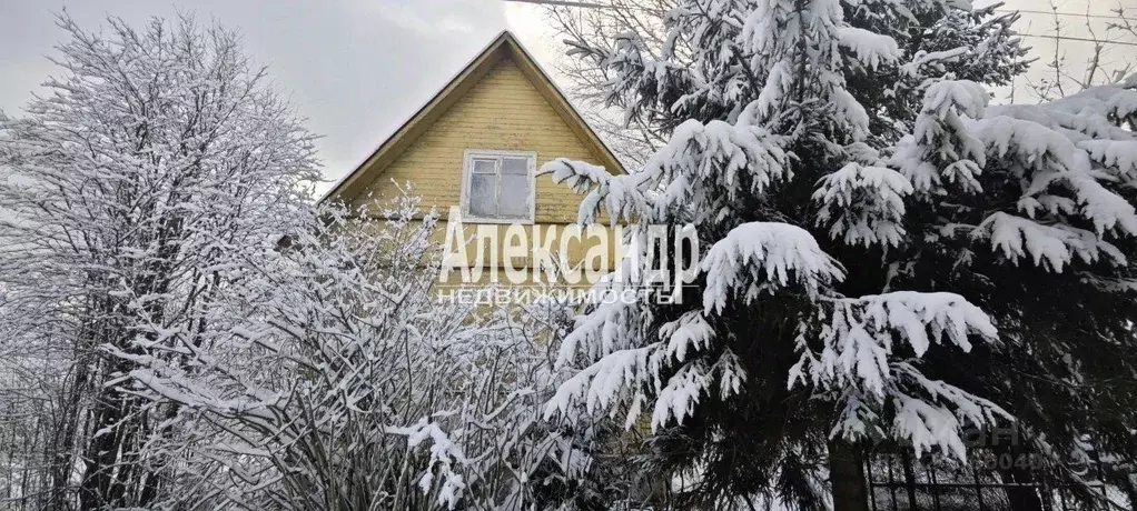Дом в Ленинградская область, Выборгский район, Рощинское городское ... - Фото 2