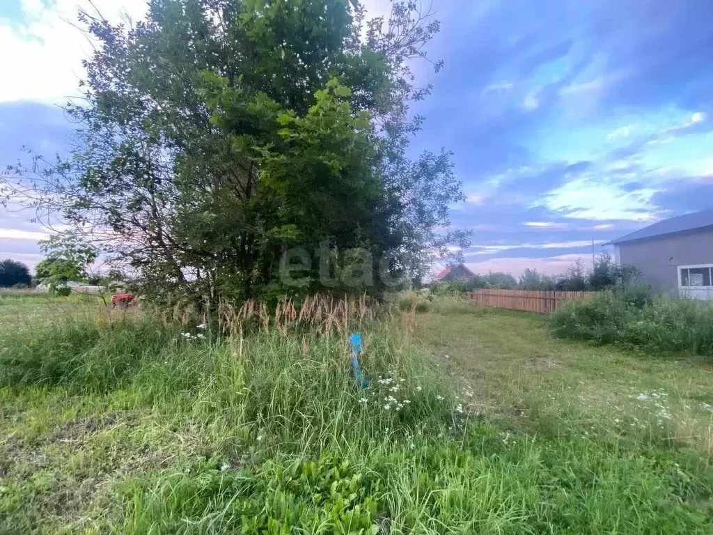 Участок в Калужская область, Малоярославецкий район, Коллонтай с/пос, ... - Фото 2