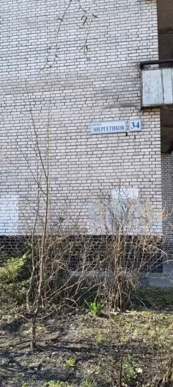 1-к кв. Санкт-Петербург просп. Энергетиков, 34 (35.1 м) - Фото 2