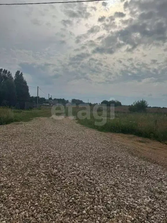 Участок в Ярославская область, Ярославский муниципальный округ, д. ... - Фото 0
