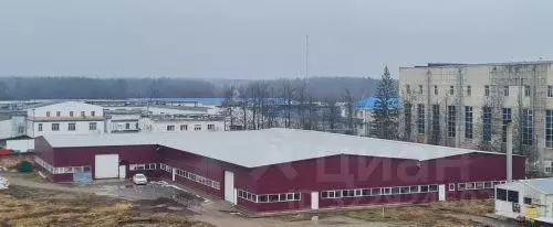 Производственное помещение в Ленинградская область, Отрадное Кировский ... - Фото 1
