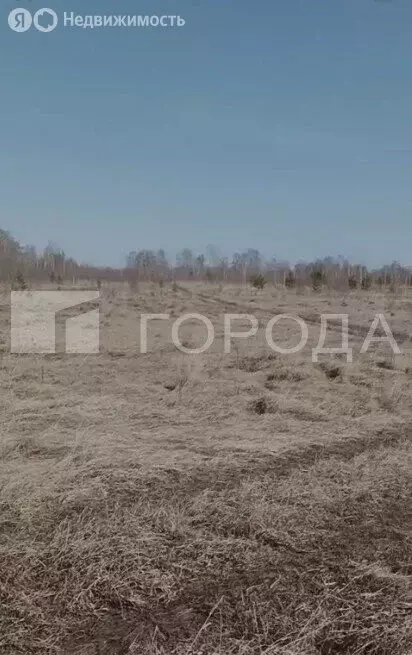 Участок в Первомайский район, посёлок Новый, улица Есенина (12 м) - Фото 0