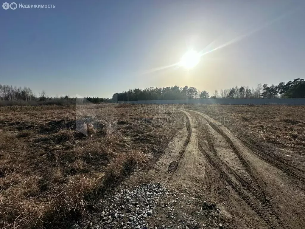 Участок в Тюменская область, Нижнетавдинский муниципальный округ, ... - Фото 1