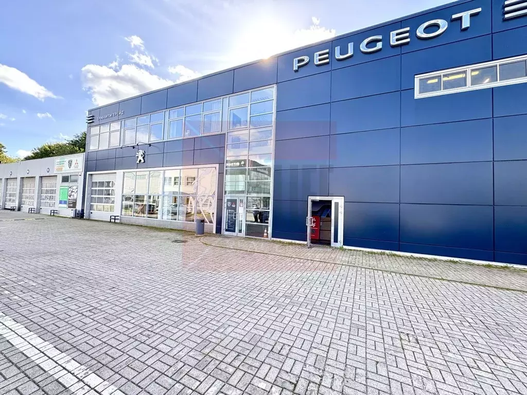 Помещение свободного назначения в Калининградская область, Калининград ... - Фото 1