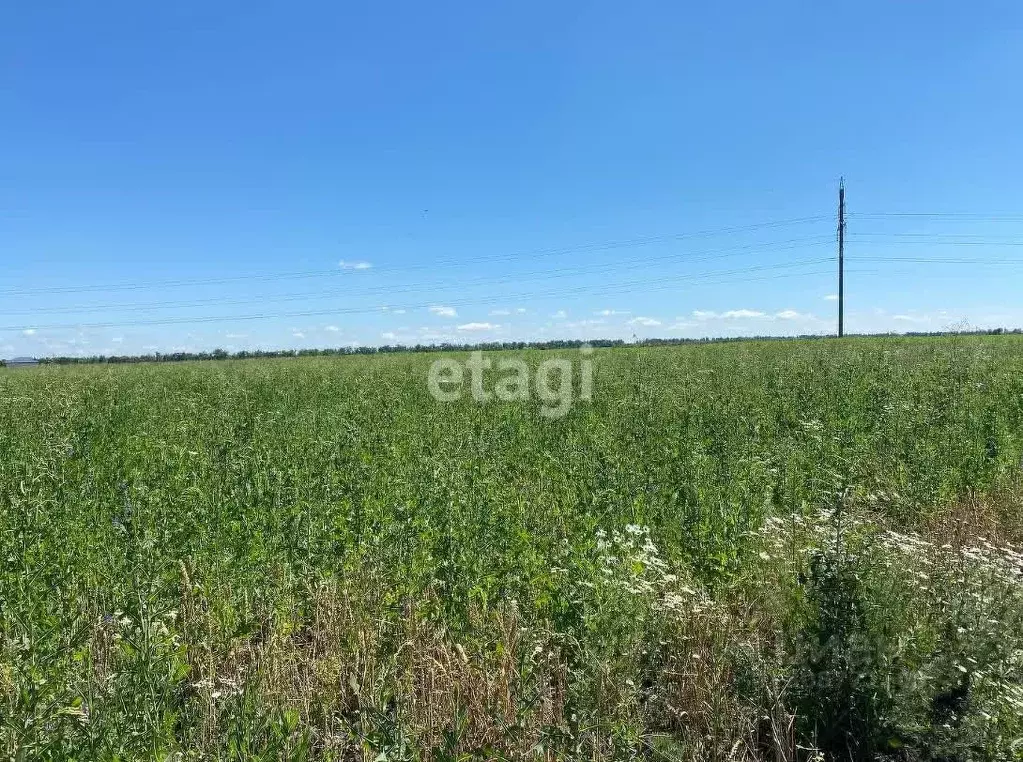 Участок в Воронежская область, с. Новая Усмань, Новая Радуга мкр  (7.3 ... - Фото 0