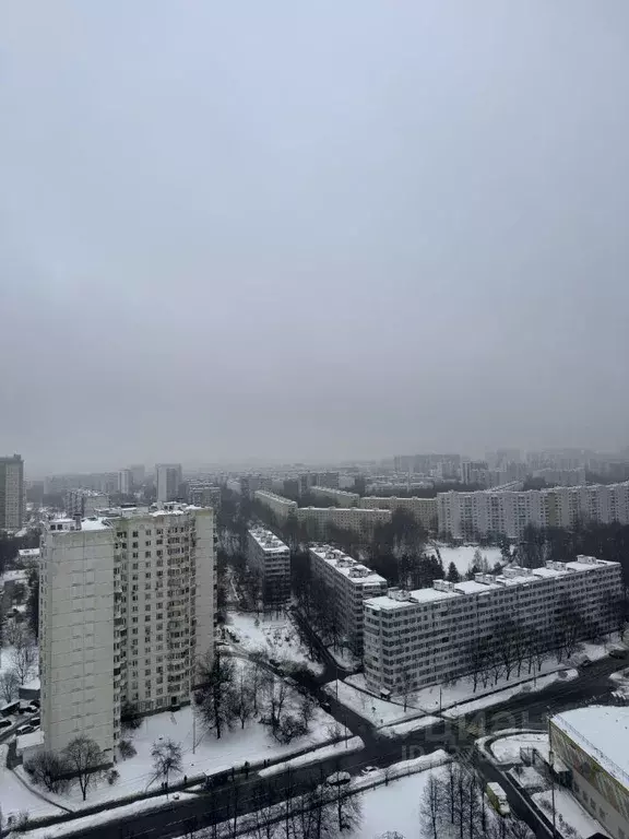 Студия Москва ул. Красного Маяка, 26А (24.4 м) - Фото 2