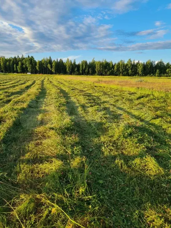 Участок 1,95 га (СНТ, ДНП) - Фото 0