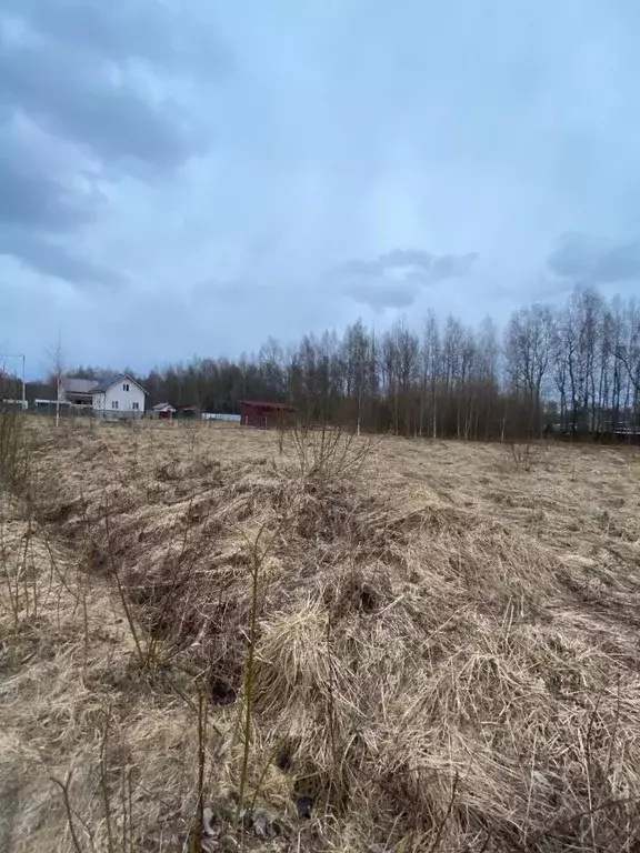 Участок в Ярославская область, Рыбинский муниципальный округ, д. ... - Фото 2
