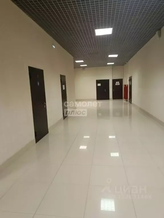 Офис в Воронежская область, Воронеж ул. Фридриха Энгельса, 64а (22 м) - Фото 2