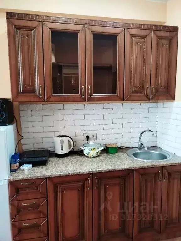 Студия Краснодарский край, Сочи ул. Яна Фабрициуса, 66/6 (26.0 м) - Фото 1