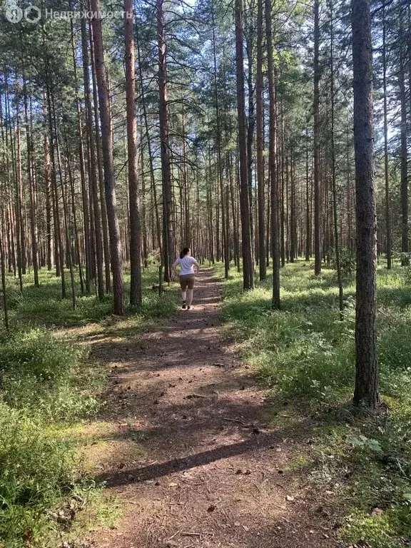 Дом в Выборгский район, Гончаровское сельское поселение, СНТ ... - Фото 1