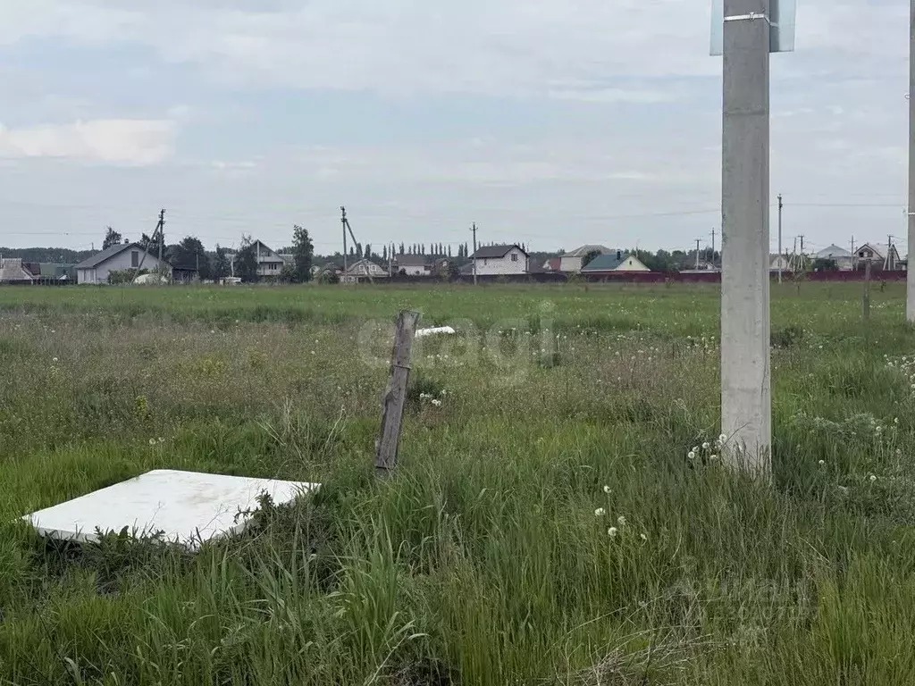 Участок в Воронежская область, Семилукский район, с. Девица ... - Фото 1