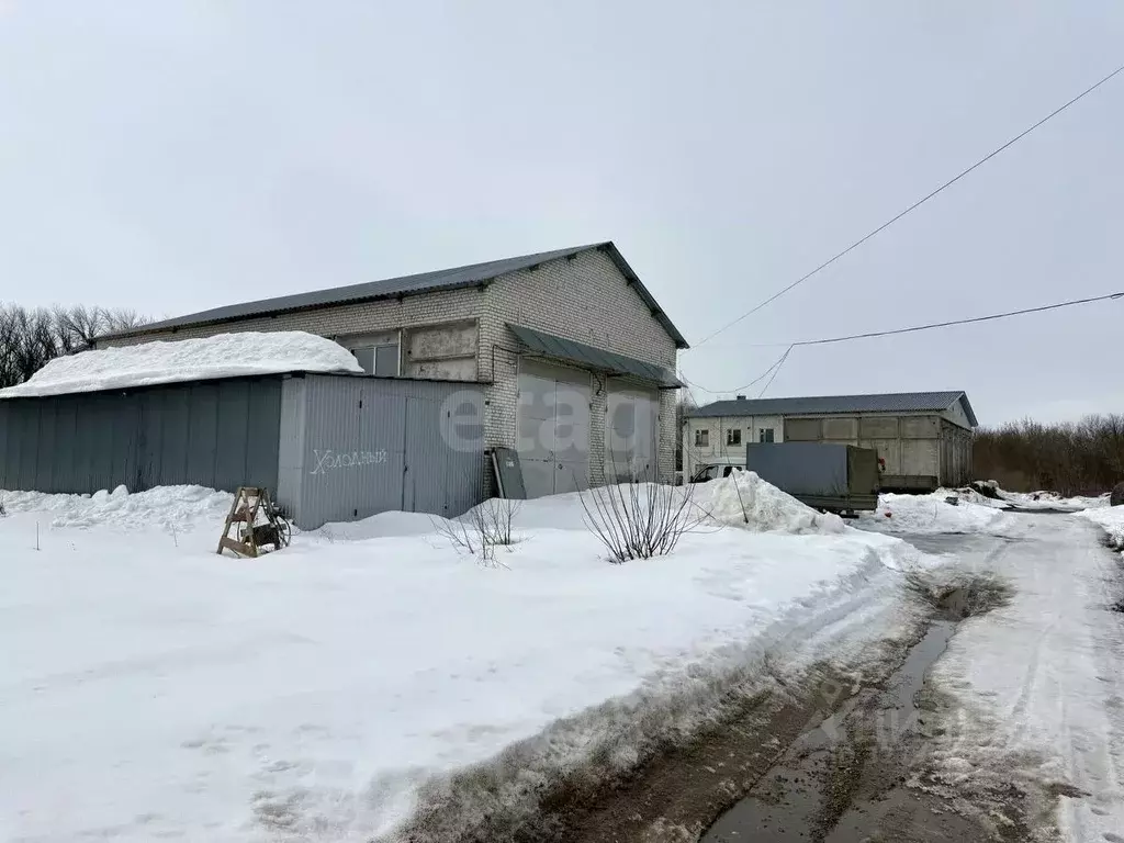 Склад в Тамбовская область, Тамбовский муниципальный округ, пос. ... - Фото 2